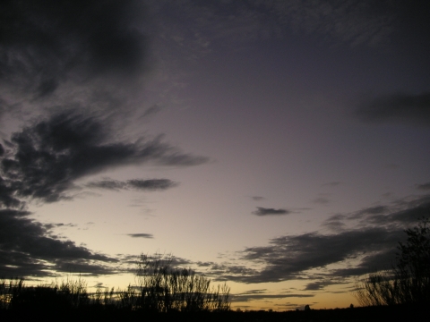 s_A_PICT0387.jpg